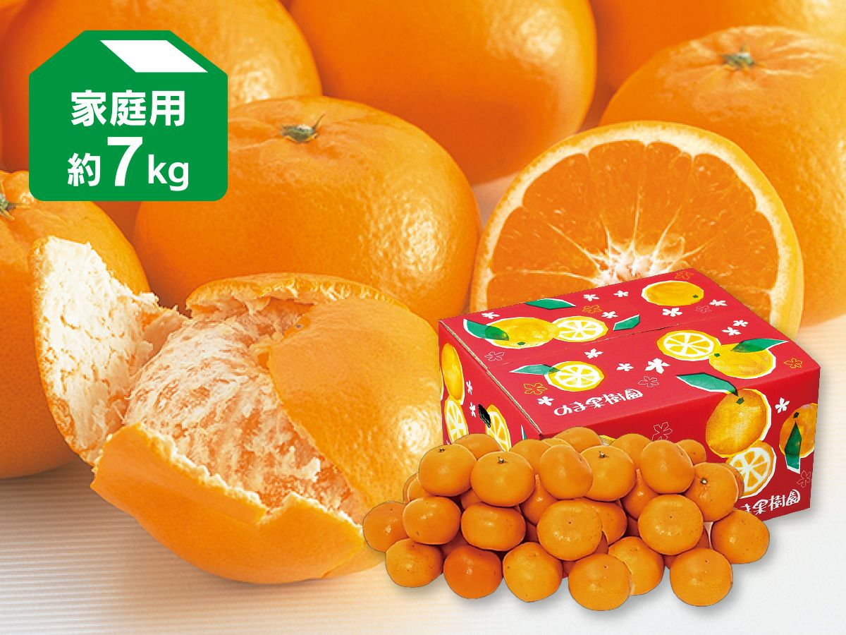 はれひめ7kg-家庭用 | のま果樹園