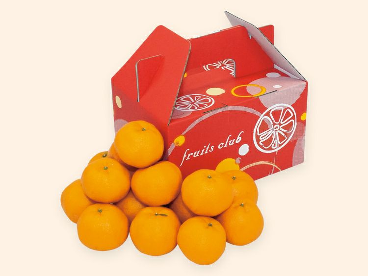ポンカン約2kg-家庭用 | のま果樹園