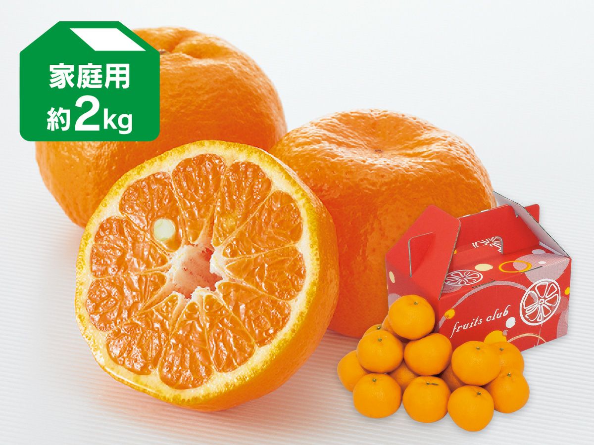 ポンカン約2kg-家庭用 | のま果樹園