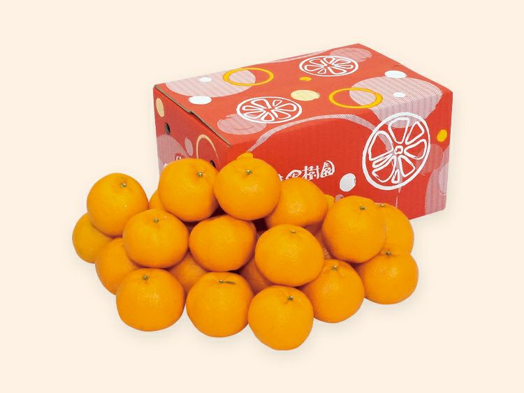 ポンカン約3kg-家庭用 | のま果樹園