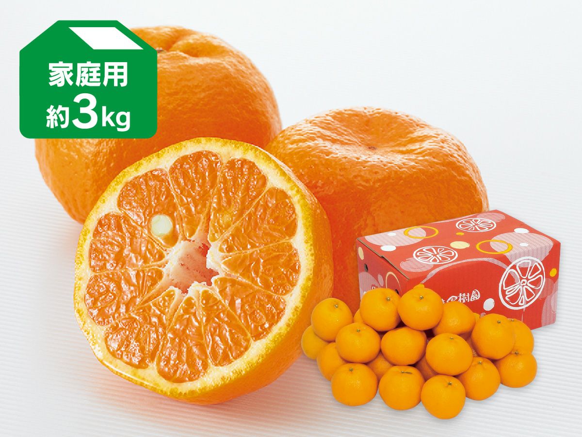 ポンカン約3kg-家庭用 | のま果樹園