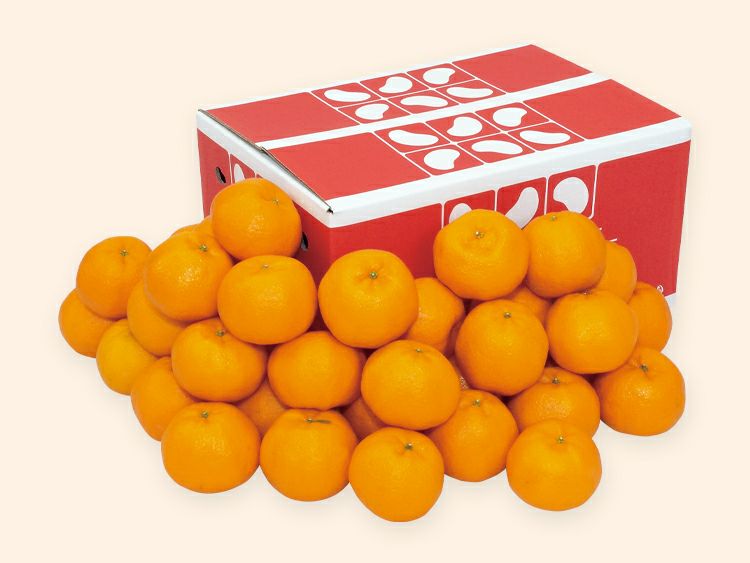 ポンカン約5kg-家庭用 | のま果樹園