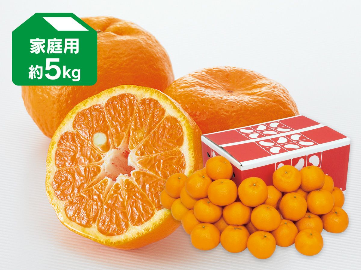 ポンカン約5kg-家庭用 | のま果樹園