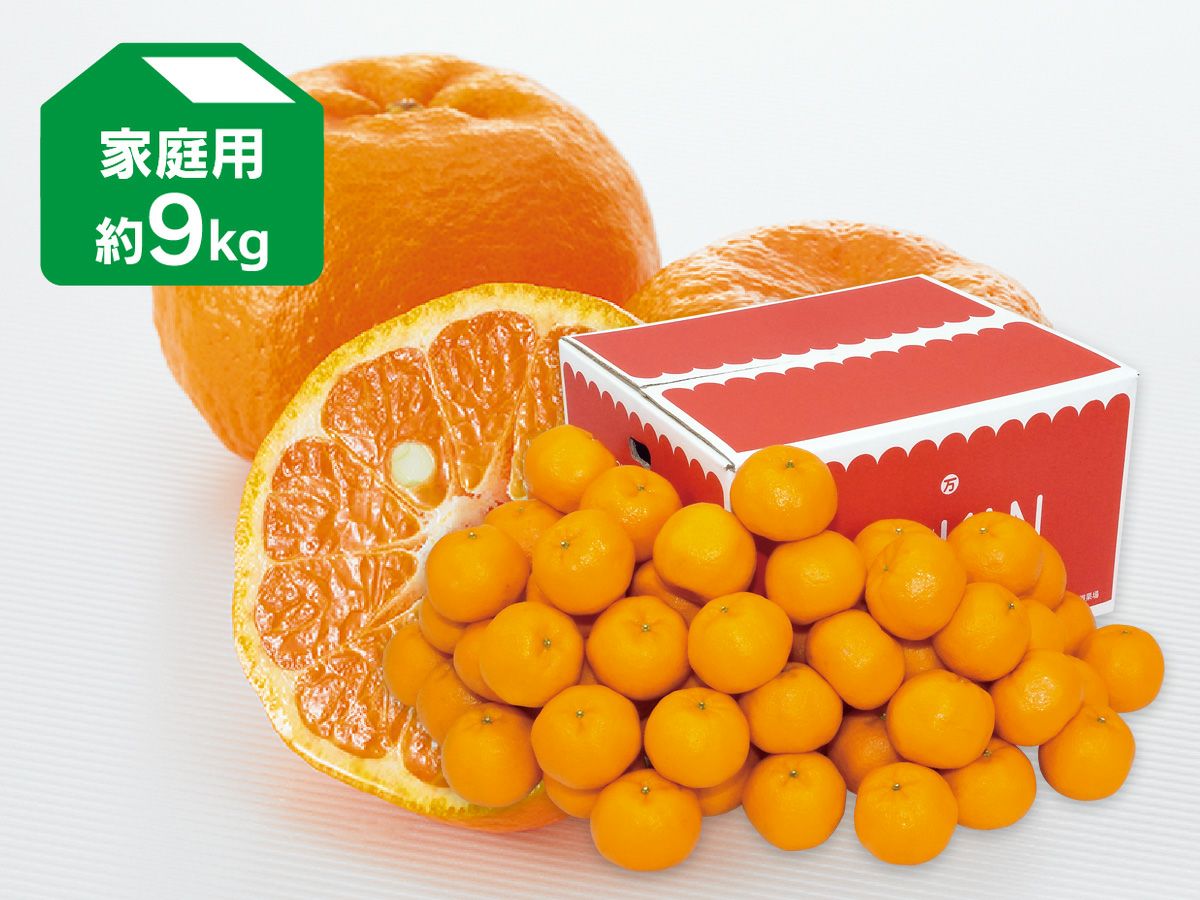 ワケあり極早生みかん約6kg | のま果樹園