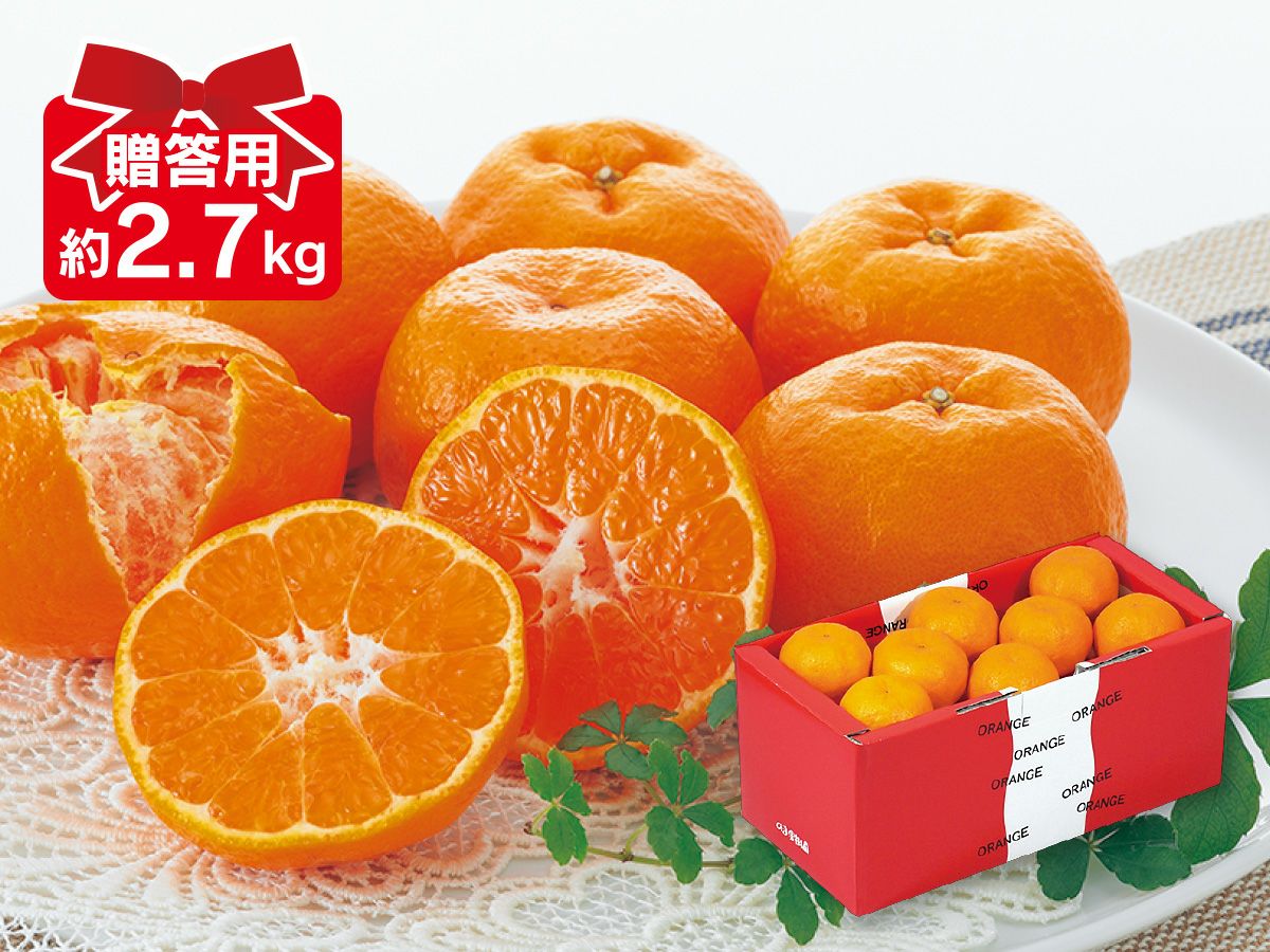 瀬戸ジャイアンツ（桃太郎ぶどう）約2kg-家庭用 | のま果樹園