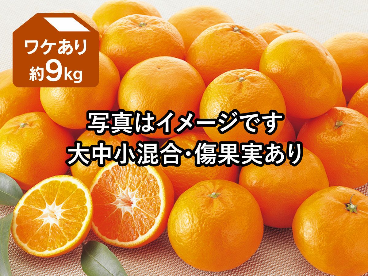 ワケあり はれひめ9kg | のま果樹園