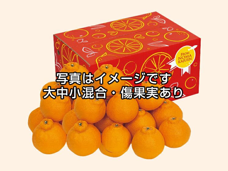 ワケありデコタンゴール約5kg | のま果樹園
