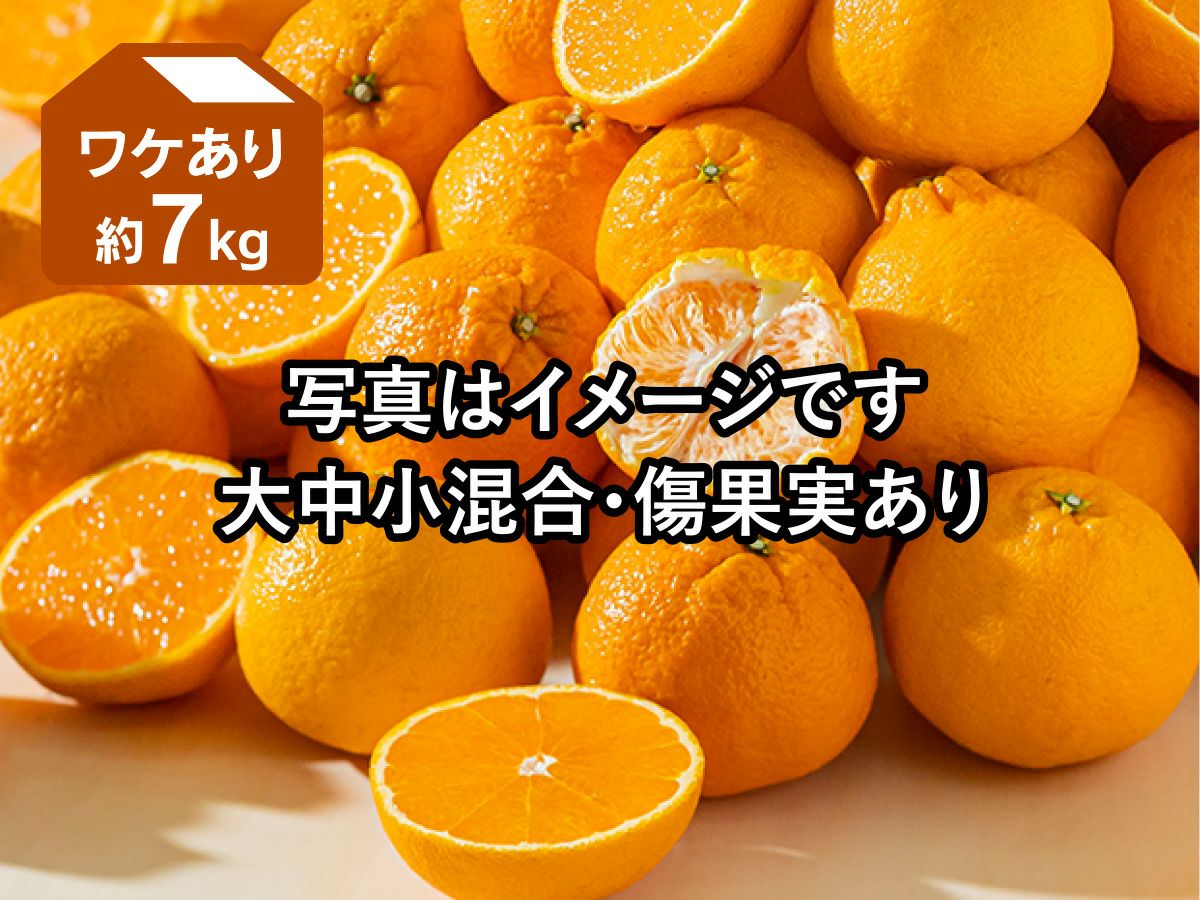 ワケありデコタンゴール約7kg | のま果樹園
