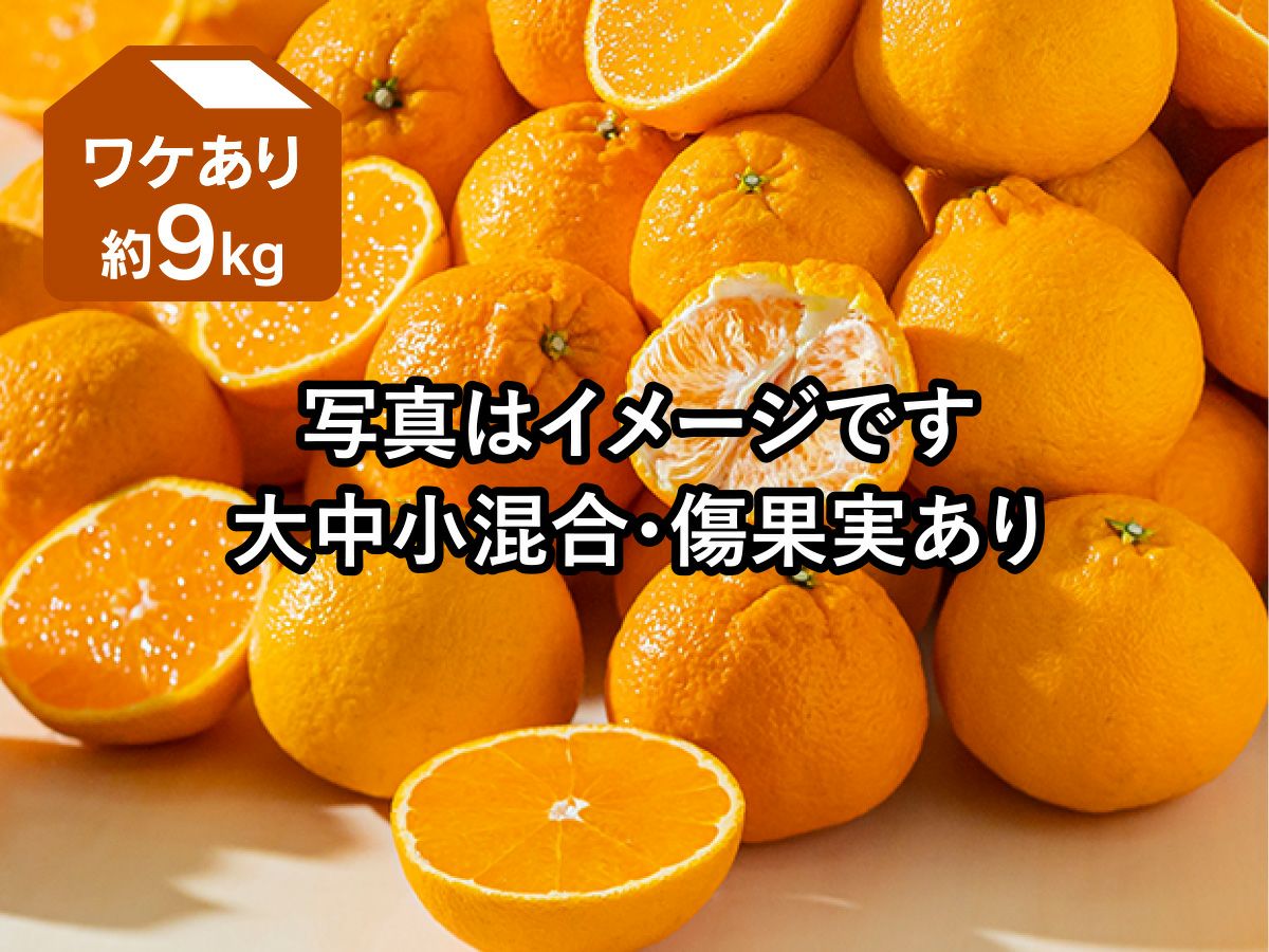 ワケありデコタンゴール約9kg | のま果樹園