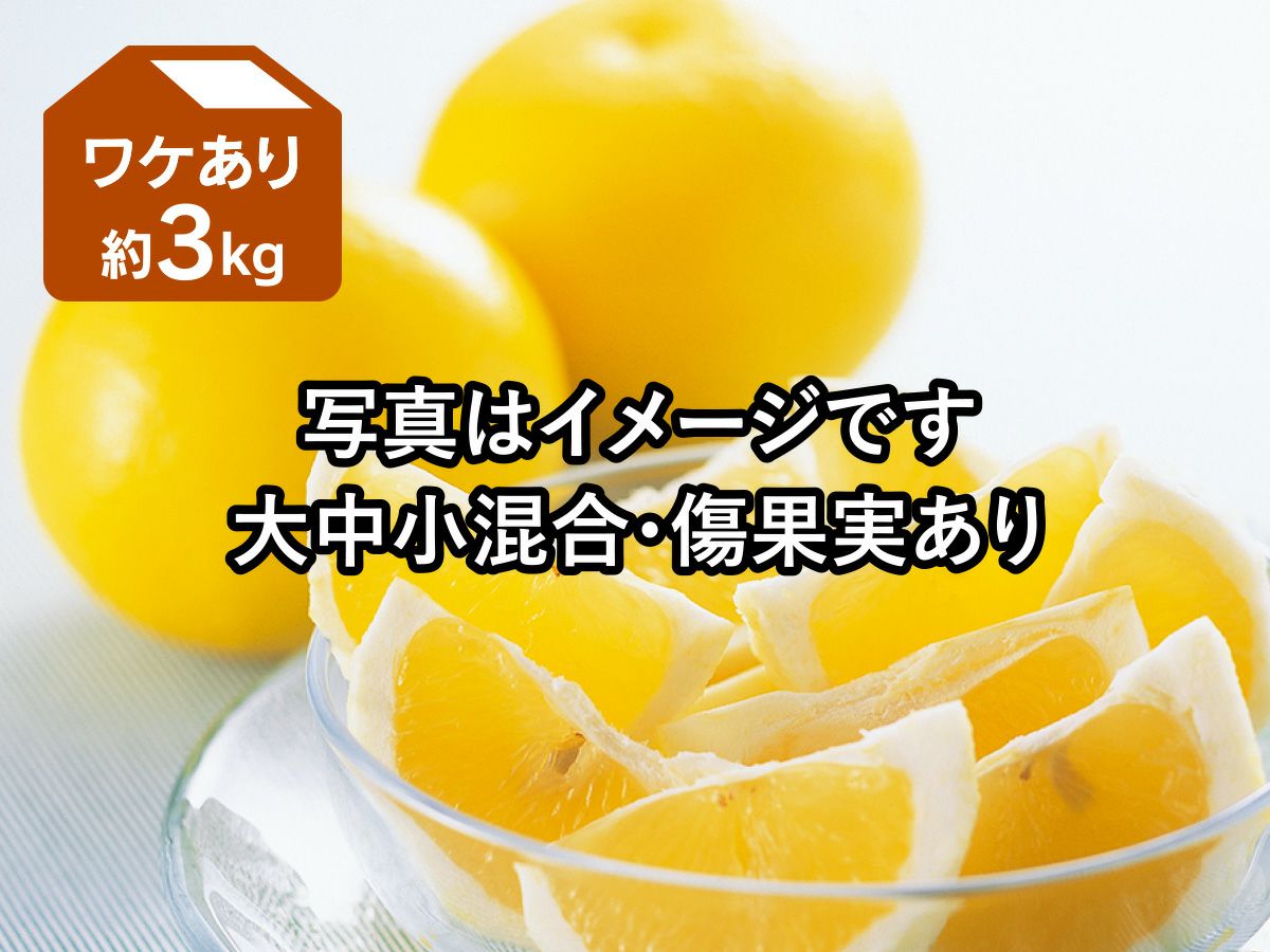 ワケありニューサマーオレンジ約3kg | のま果樹園