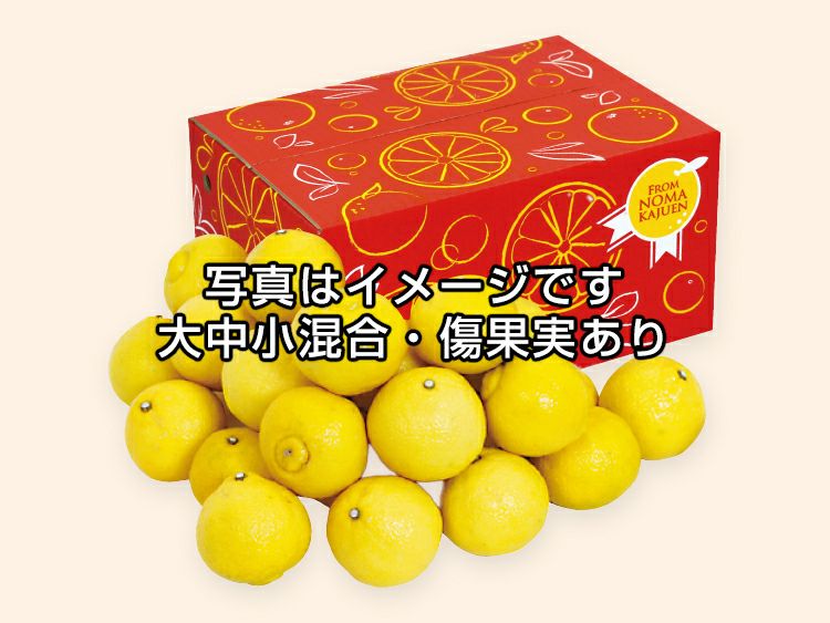 ワケありはるか約5kg | のま果樹園