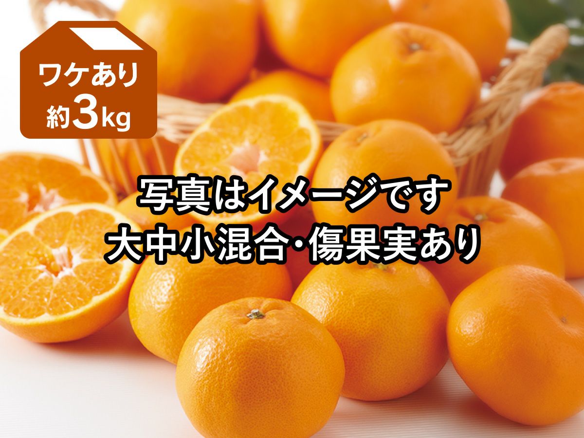 甘平 約3kg 無選別(キズ果・サイズ混合) | のま果樹園