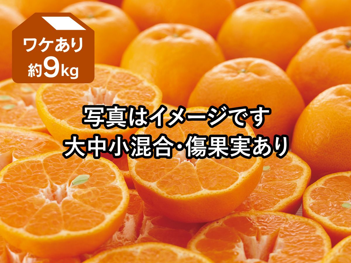 ちいちゃんママ　訳あり品の和田果樹園果物10kg 和田果樹園 | STORES