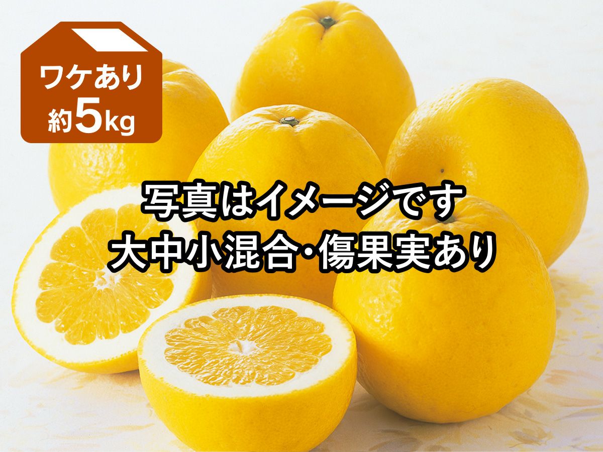 はるか約2kg-家庭用 | のま果樹園