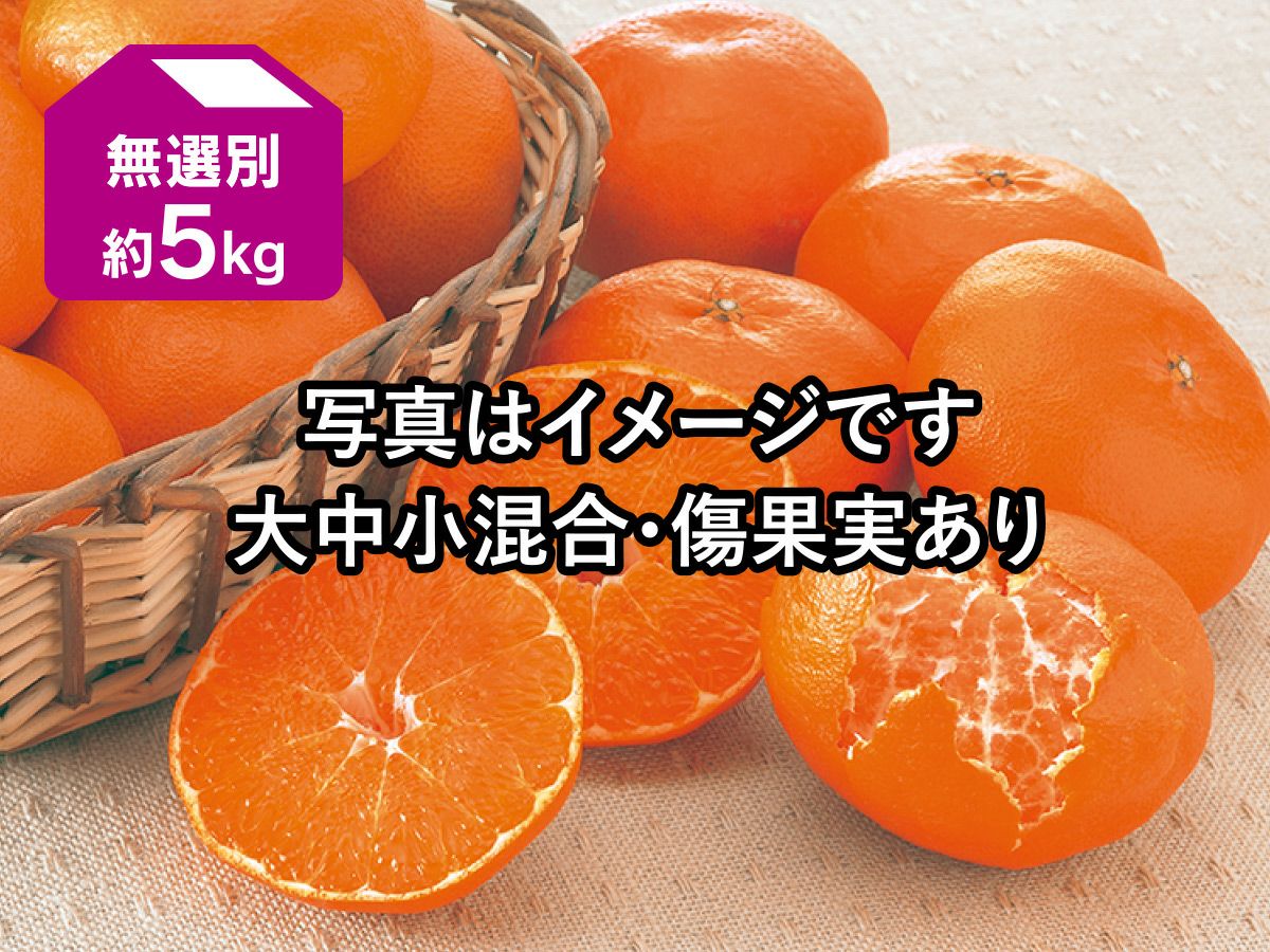 甘平 約5kg-家庭用 | のま果樹園