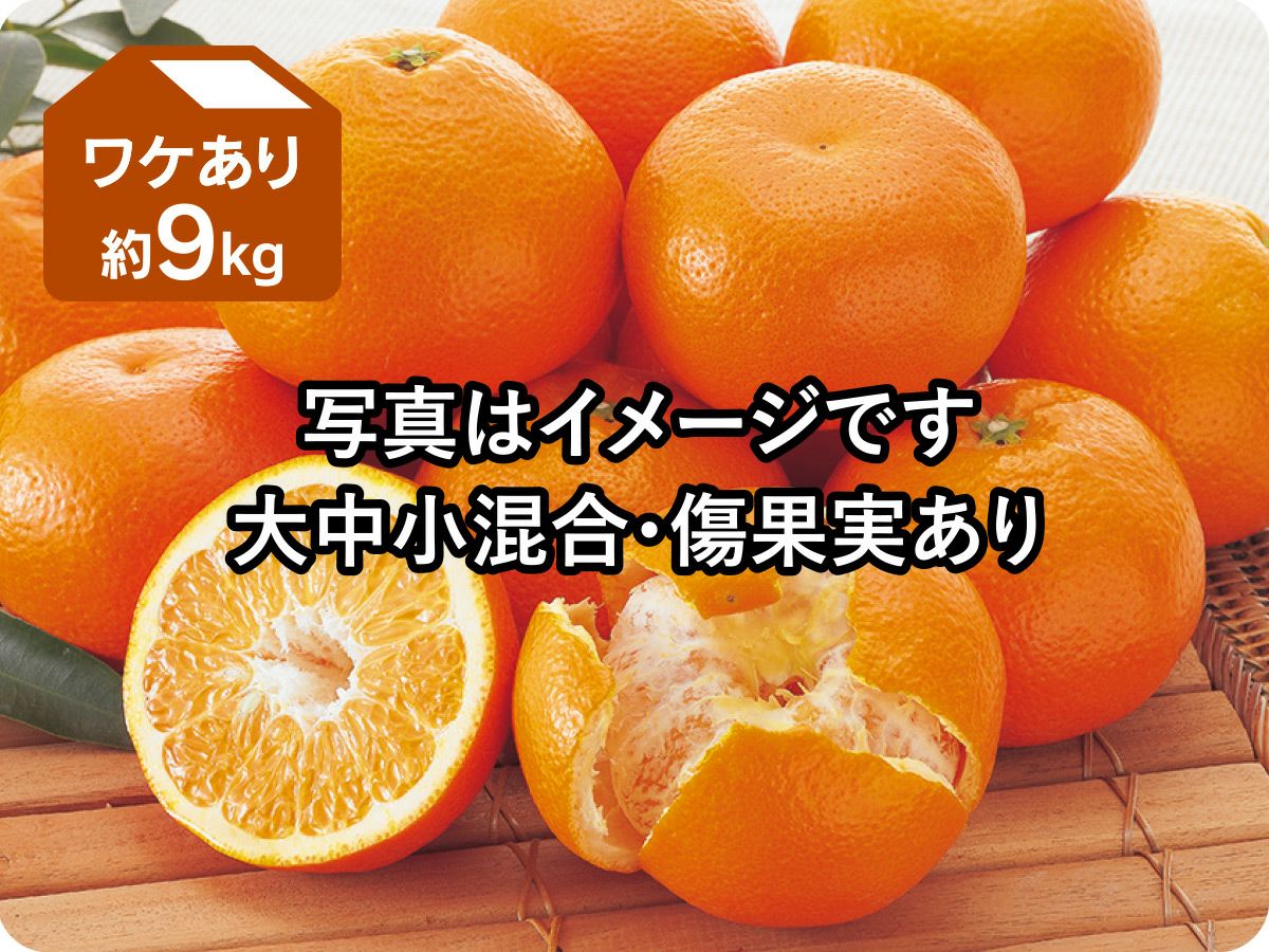 愛媛みかん9kg-家庭用 | のま果樹園