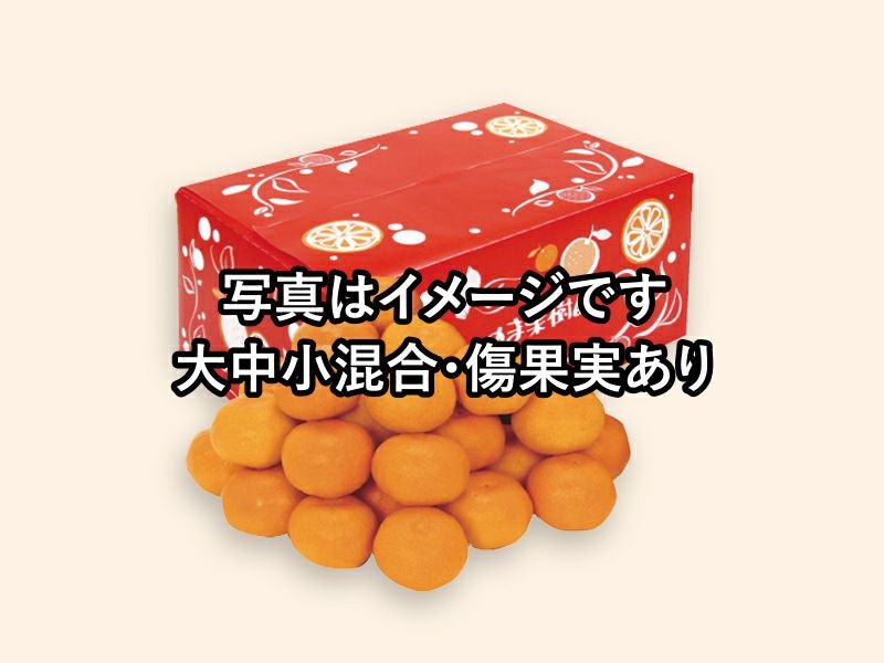 ワケあり極早生みかん約3kg | のま果樹園