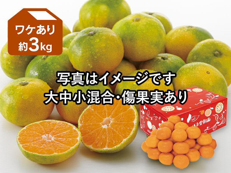 ワケあり極早生みかん約3kg | のま果樹園