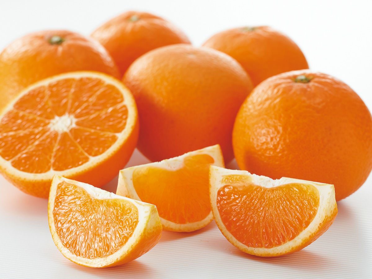 ワケあり清見タンゴール約5kg | のま果樹園