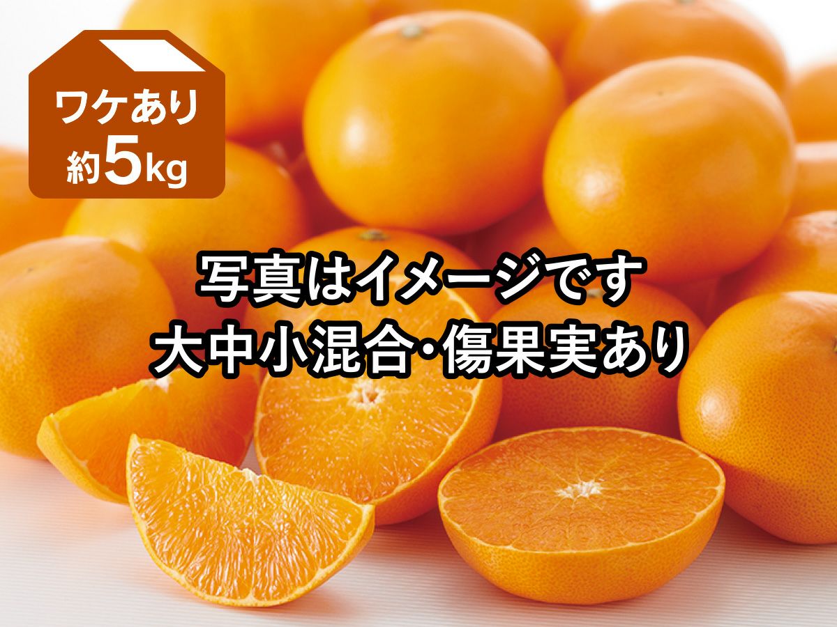 たヌ吉果樹園（せとか出品）様　おまとめリクエストです✿︎ 露地せとか（ワケあり） | のま果樹園