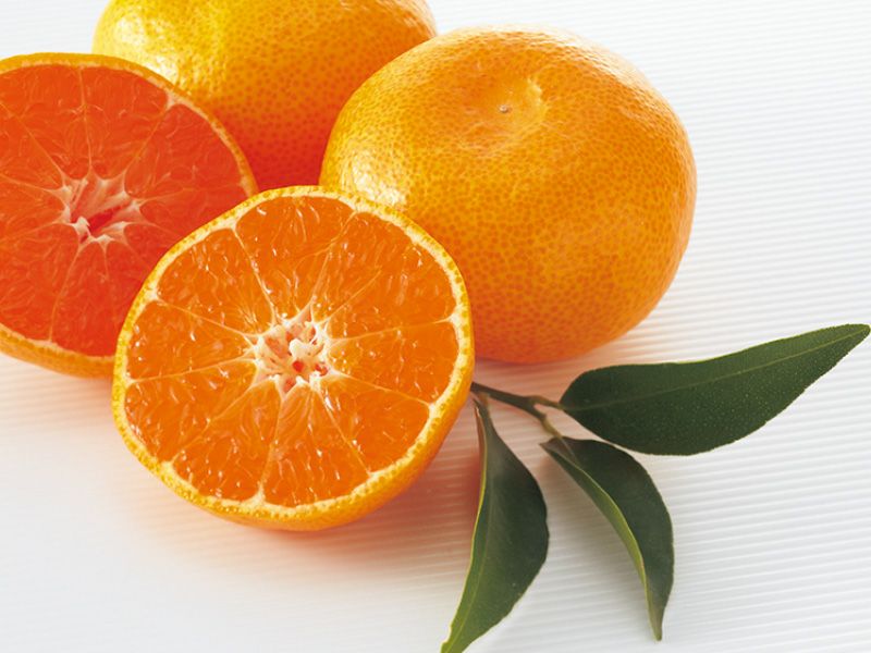 愛媛みかん3kg-家庭用 | のま果樹園