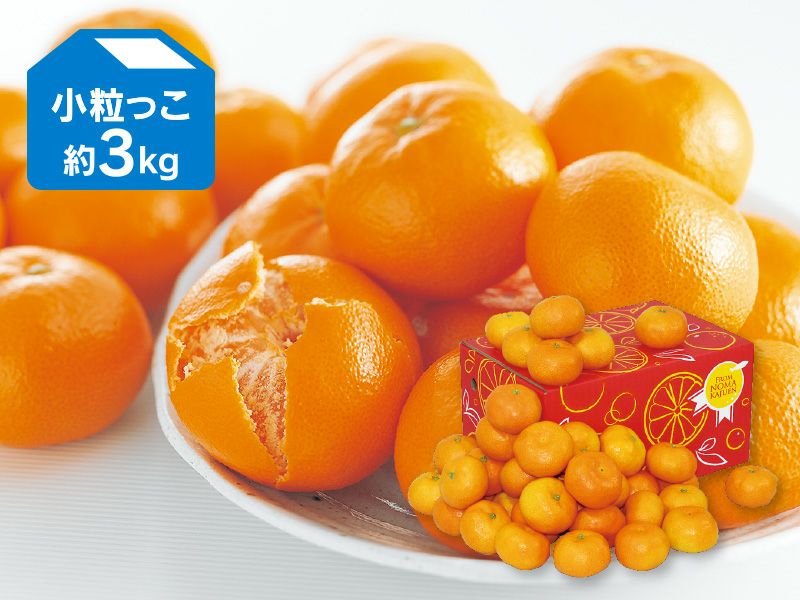 愛媛みかん3kg-小粒っ子 | のま果樹園
