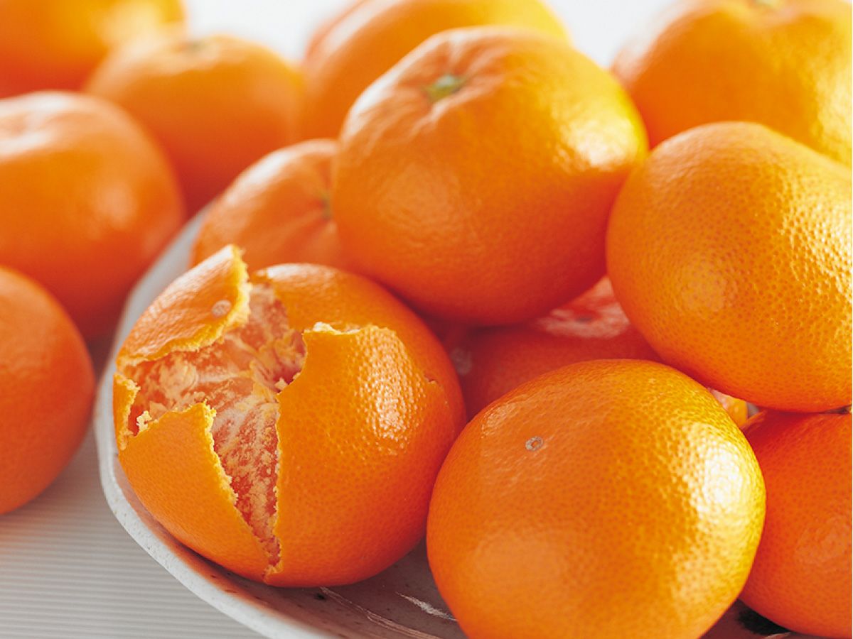 愛媛みかん5kg-家庭用 | のま果樹園