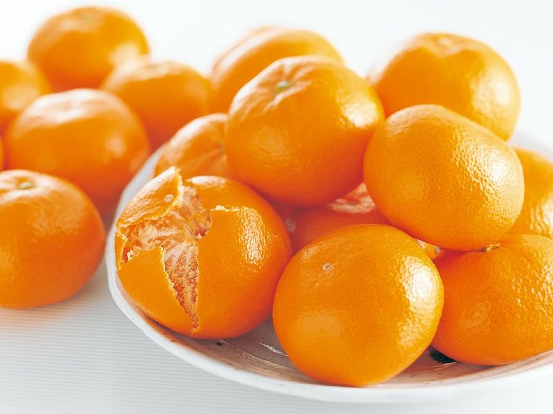 愛媛みかん5kg-小粒っ子 | のま果樹園