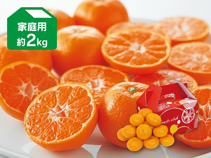 愛媛みかん2kg-家庭用 | のま果樹園