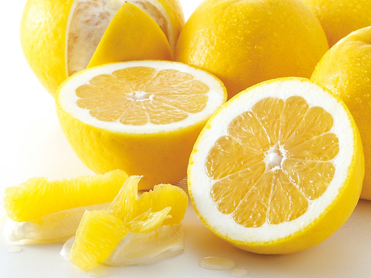 河内晩柑約5kg-家庭用(ジューシーオレンジ) | のま果樹園