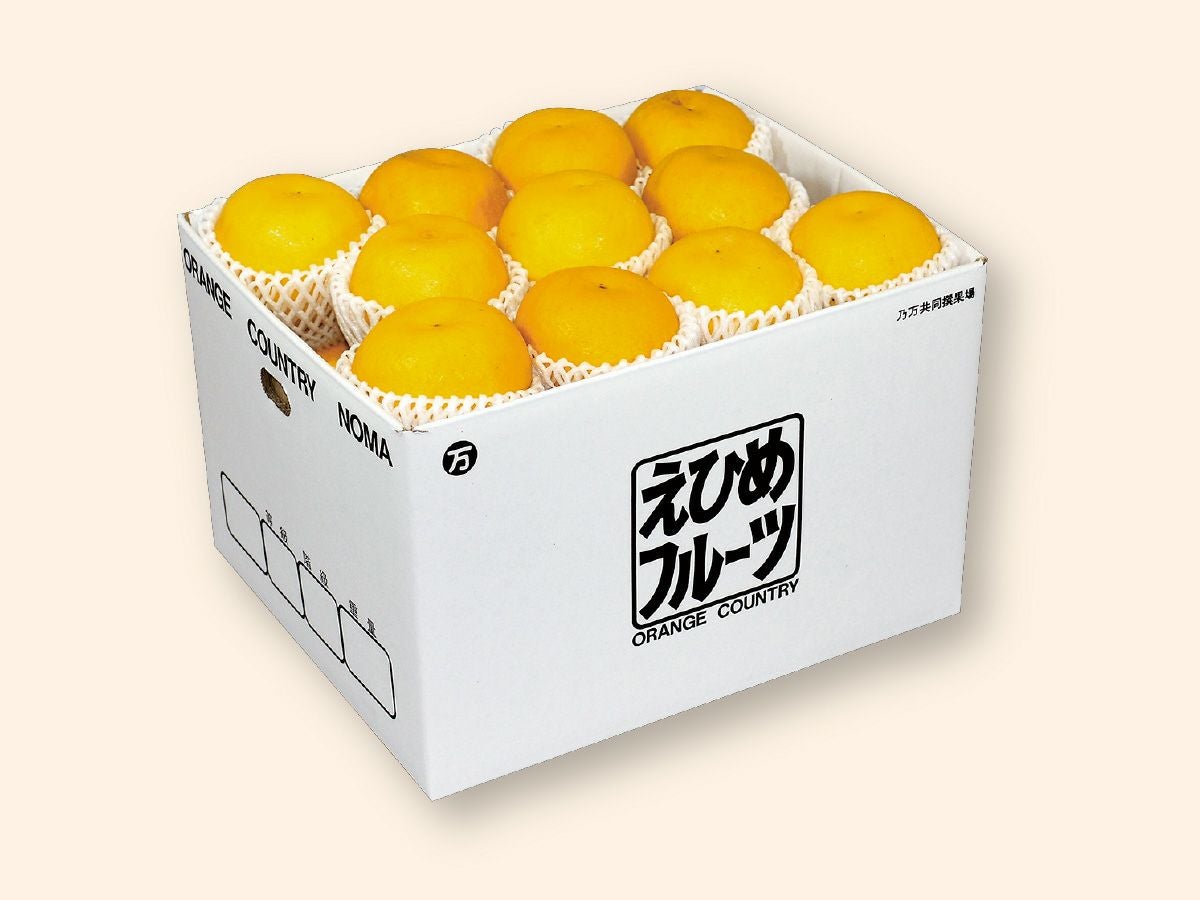 河内晩柑約7kg-贈答用(ジューシーオレンジ) | のま果樹園
