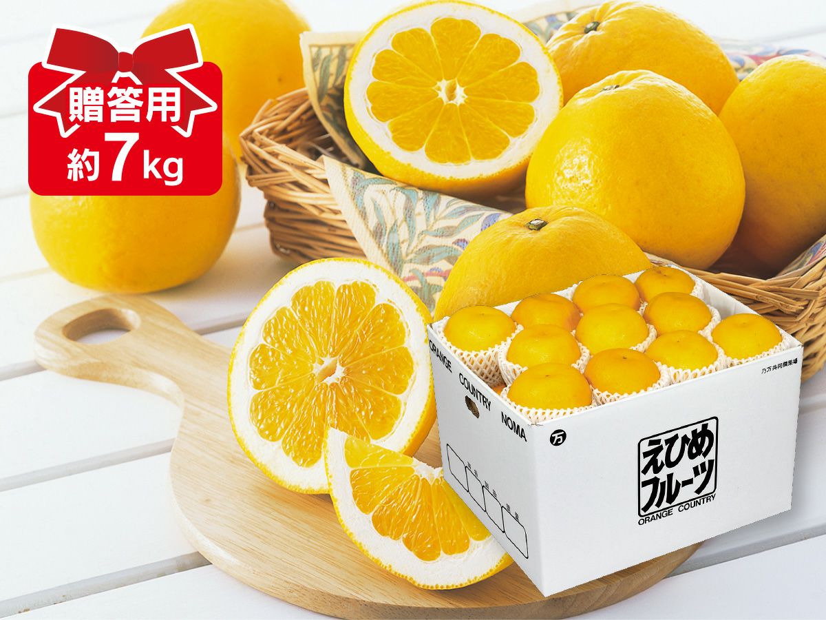 ワケありニューサマーオレンジ約2kg | のま果樹園