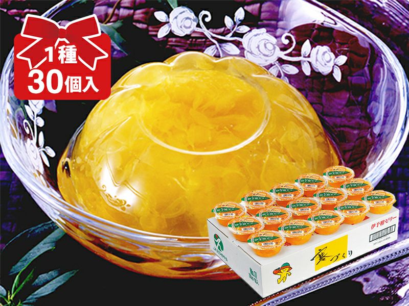 寒づくりいよかんゼリー(155g×30個入） | のま果樹園