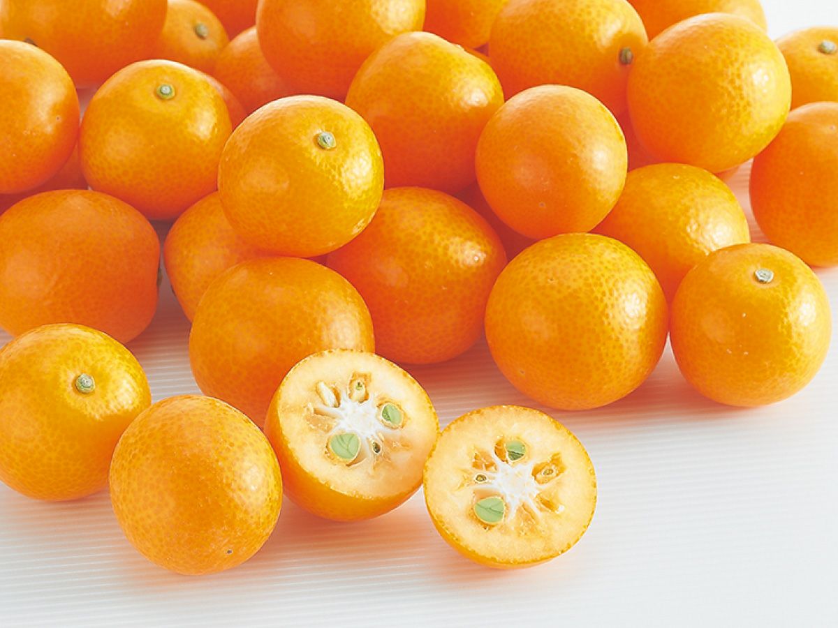 完熟きんかん約1kg | のま果樹園