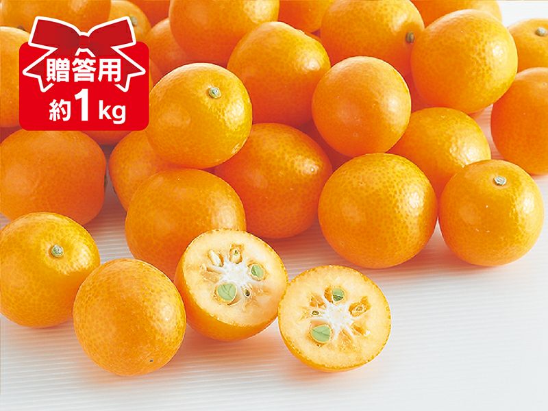 完熟金柑 | のま果樹園