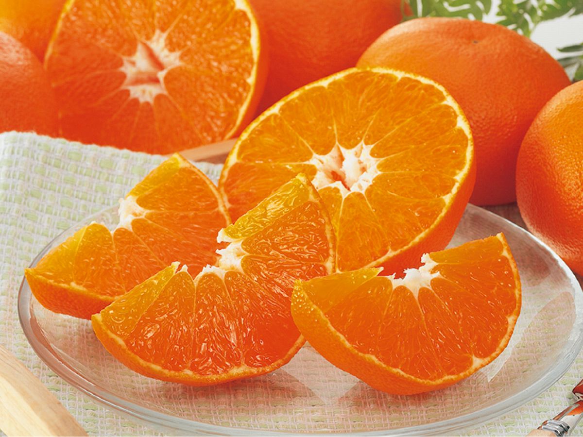 甘平 約2.5kg-贈答用 | のま果樹園