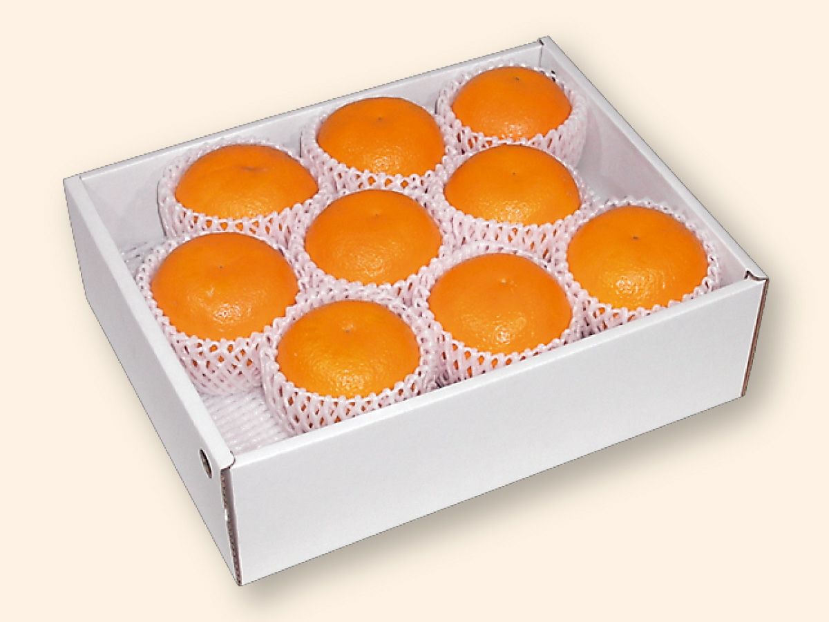 甘平 約2.5kg-贈答用 | のま果樹園