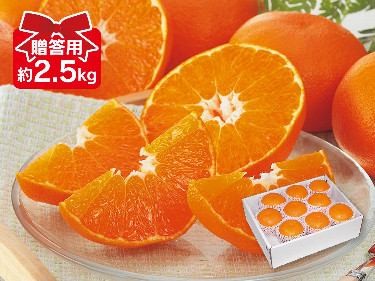 000000000491-04.jpg?size=xl&w=