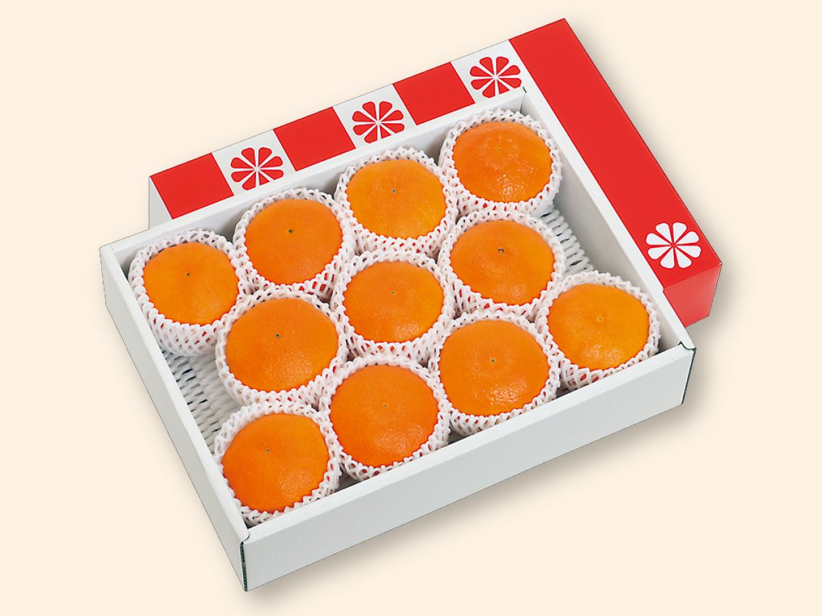 甘平 約3.5kg-贈答用 | のま果樹園