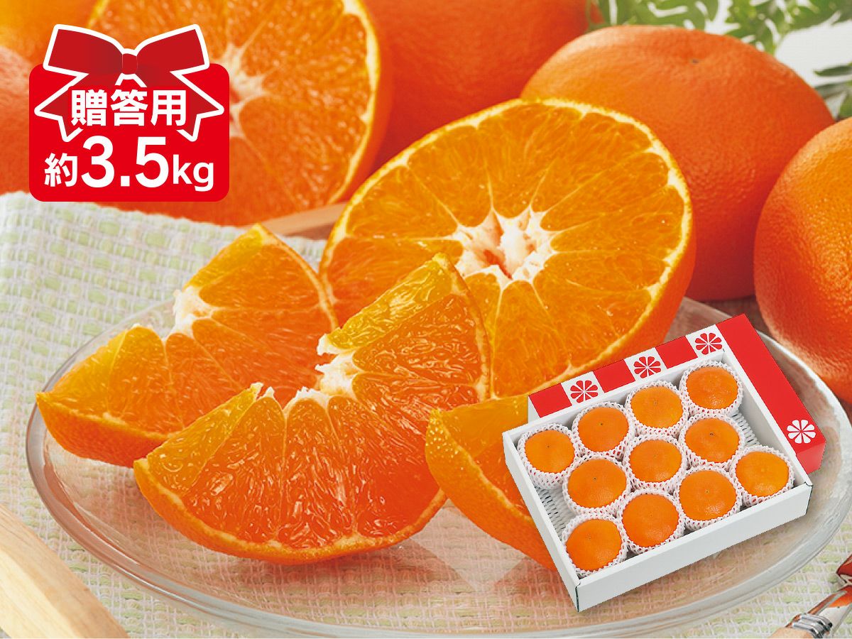 甘平 約3.5kg-贈答用 | のま果樹園