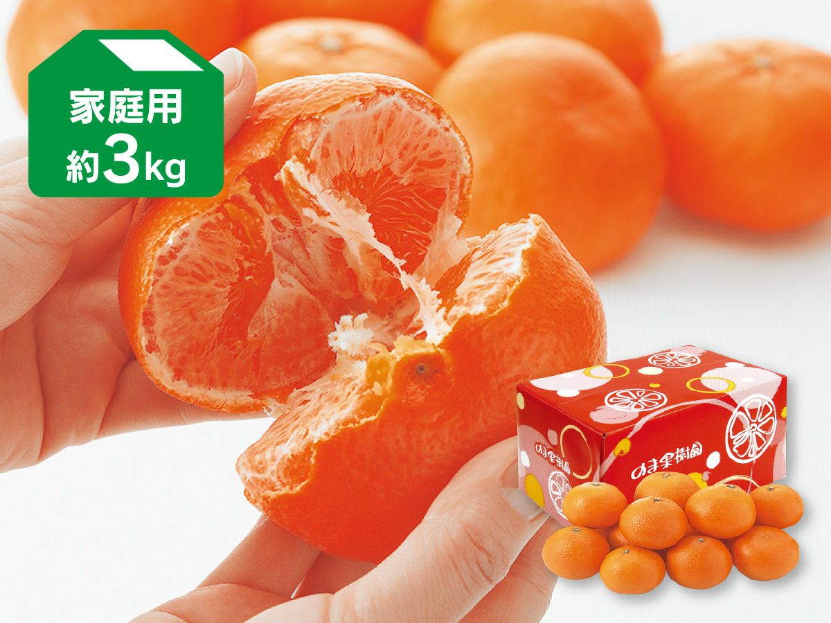 ベルガモット 約1kg 贈答用 | のま果樹園