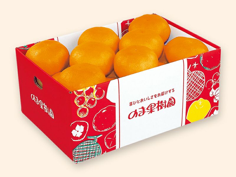 甘平 約5kg-贈答用 | のま果樹園