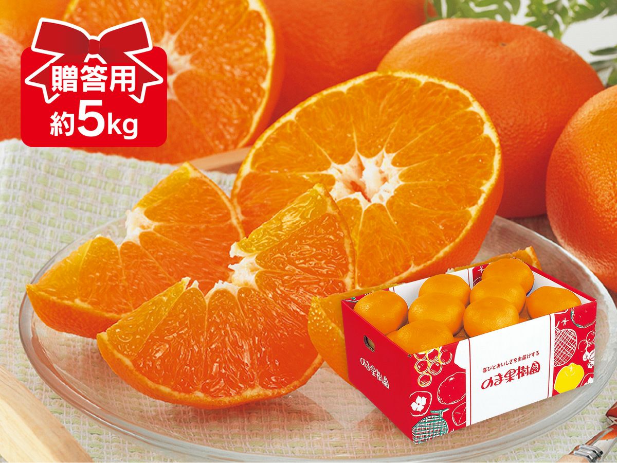 000000000496-04.jpg?size=m&w=