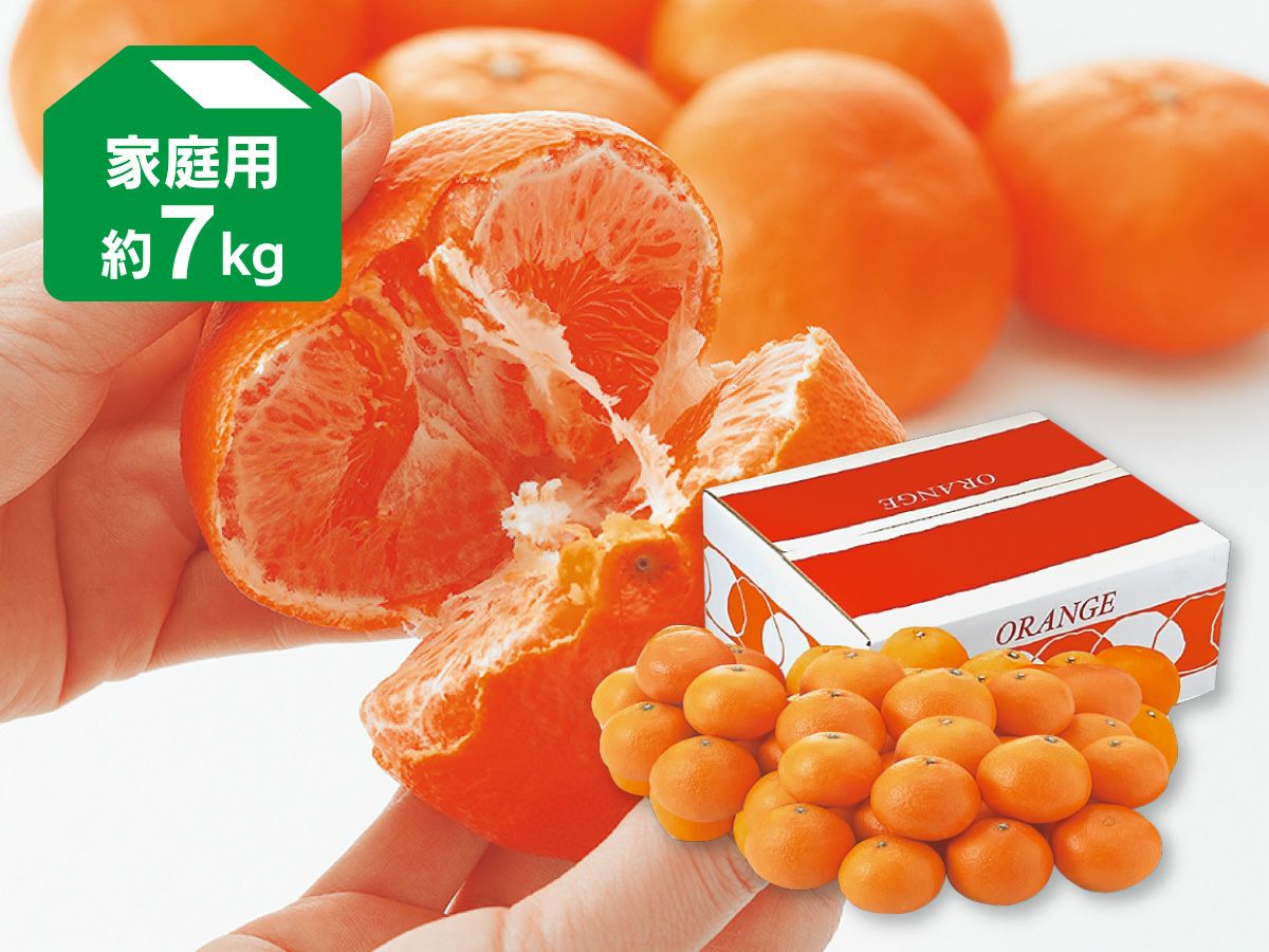 甘平 約7kg-贈答用 | のま果樹園