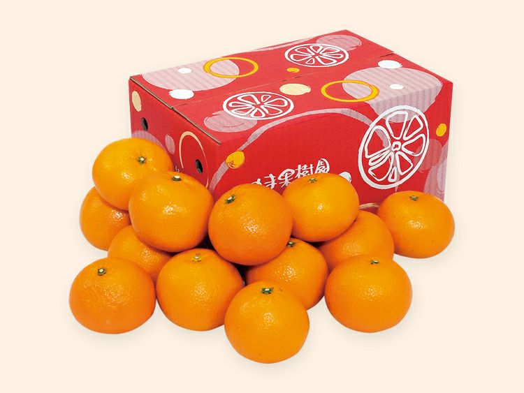 宮内いよかん約3kg-家庭用 | のま果樹園
