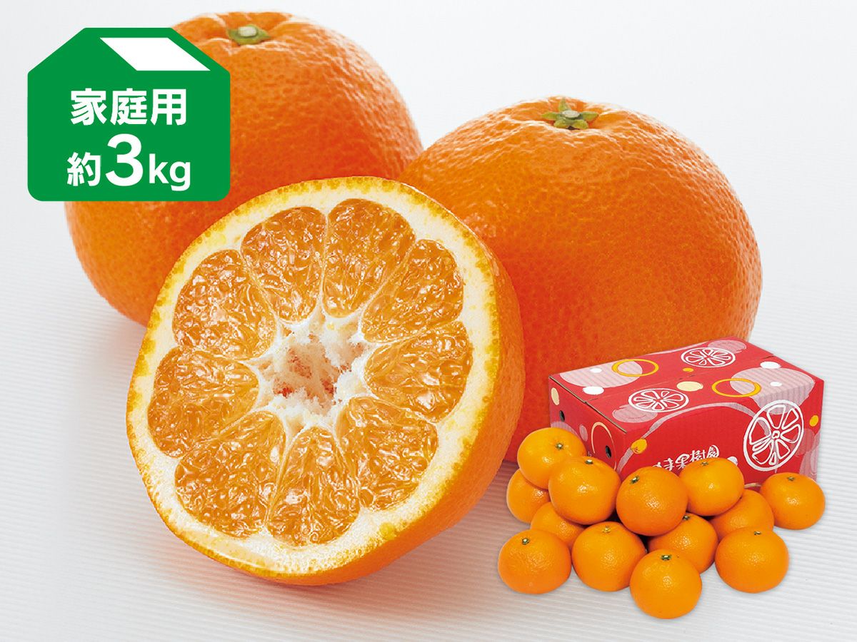 いよかん 宮内いよかん約3kg-家庭用 | のま果樹園