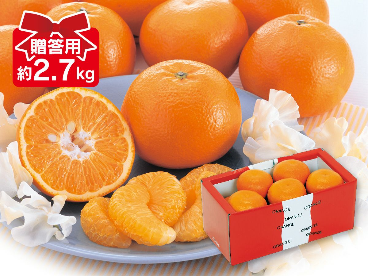 000000000500-04.jpg?size=xl&w=