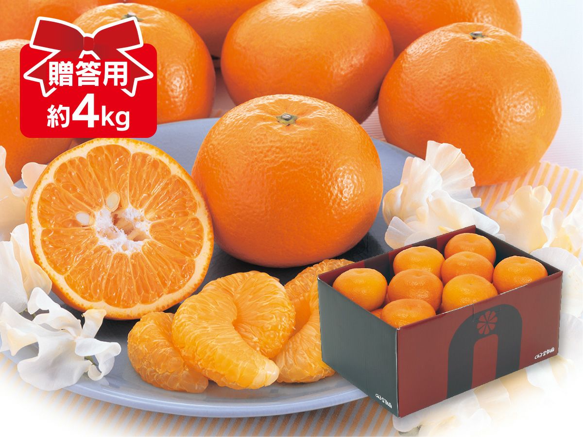 宮内いよかん約4kg-贈答用 | のま果樹園