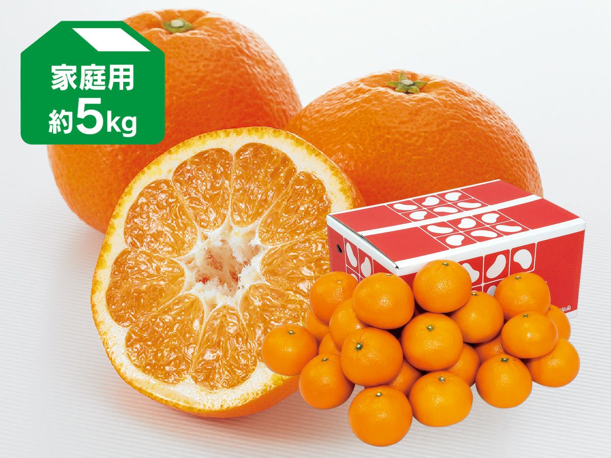 家庭用 | のま果樹園