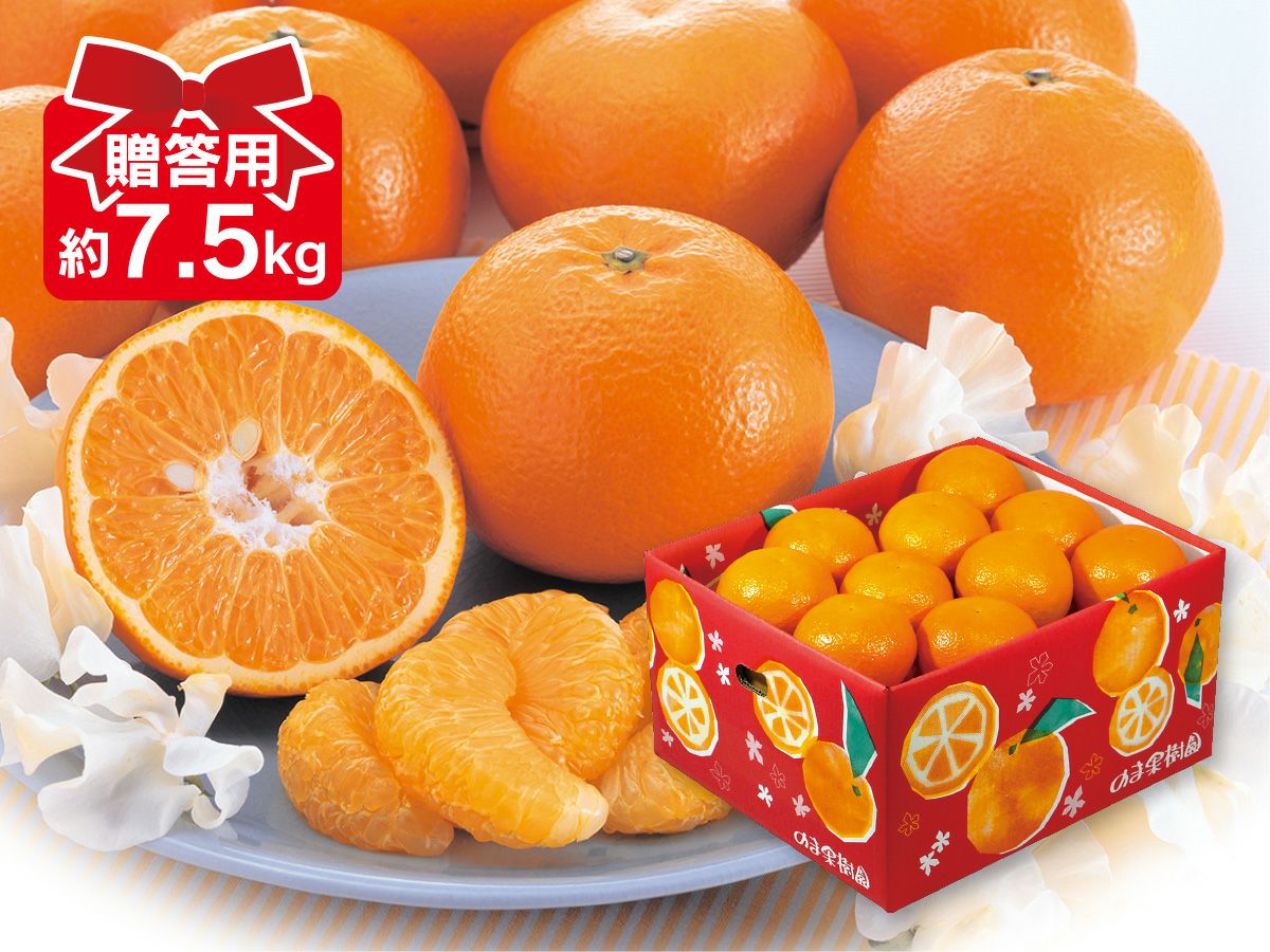 ワケあり極早生みかん約6kg | のま果樹園